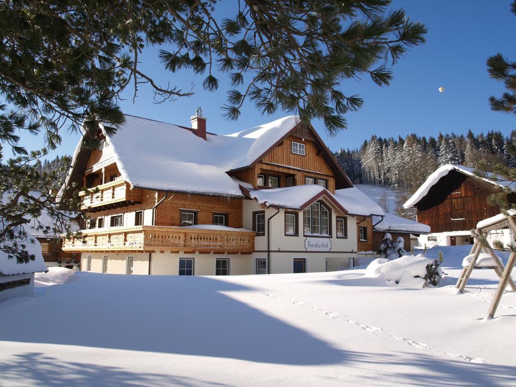 Forsterhof Villa Ramsau am Dachstein Luaran gambar